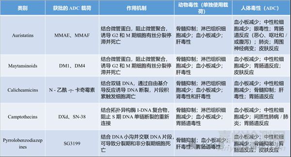 ADC藥物非臨床研究策略及案例分享