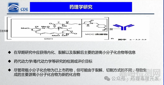 ADC藥物非臨床研究策略及案例分享