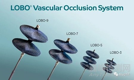 LOBO：創(chuàng)新血管封堵器