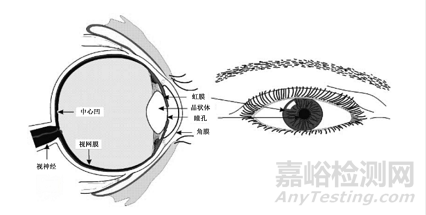 醫(yī)療美容用途醫(yī)療器械光療類產(chǎn)品光輻射安全評估