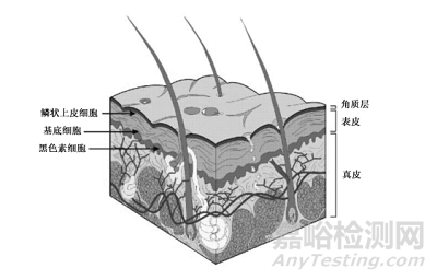 醫(yī)療美容用途醫(yī)療器械光療類產(chǎn)品光輻射安全評估