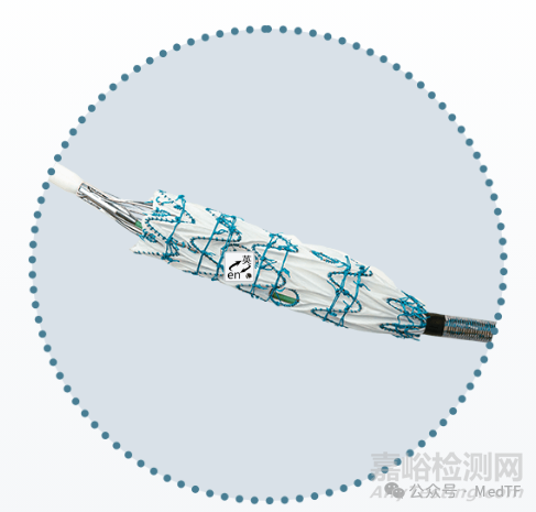 【創(chuàng)新醫(yī)械】泰爾茂自由開窗的腹主動脈支架