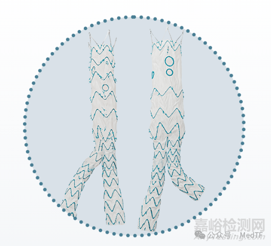 【創(chuàng)新醫(yī)械】泰爾茂自由開窗的腹主動脈支架