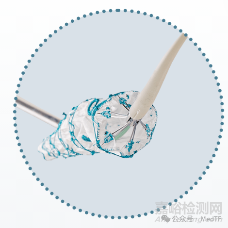 【創(chuàng)新醫(yī)械】泰爾茂自由開窗的腹主動脈支架