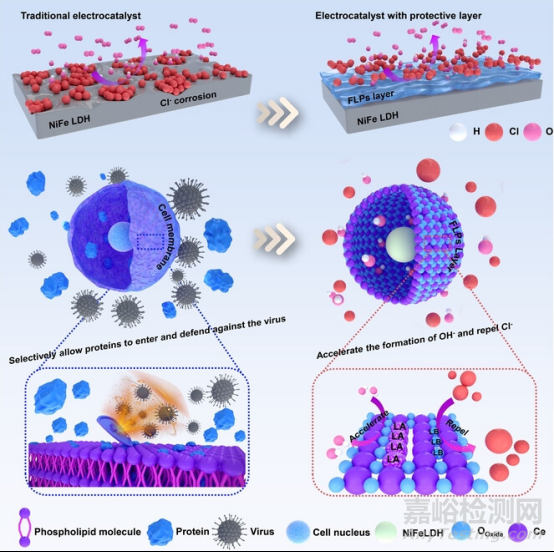 一文詳述軟硬酸堿理論