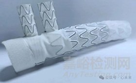 普惠生物創(chuàng)新醫(yī)械“分支型主動脈術(shù)中支架系統(tǒng)”技術(shù)解析