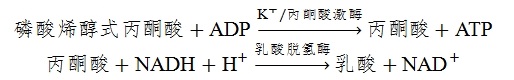 剛剛，電解質(zhì)鉀、鈉、氯、鈣測(cè)定試劑注冊(cè)審查指導(dǎo)原則（2025年修訂版）正式發(fā)布