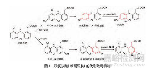 藥物反應(yīng)性代謝物的代謝途徑、致毒機制及其檢測方法研究進展