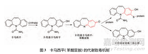 藥物反應(yīng)性代謝物的代謝途徑、致毒機制及其檢測方法研究進展