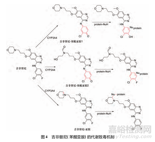 藥物反應(yīng)性代謝物的代謝途徑、致毒機制及其檢測方法研究進展