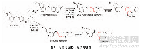 藥物反應(yīng)性代謝物的代謝途徑、致毒機制及其檢測方法研究進展