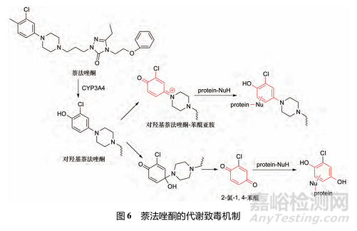 藥物反應(yīng)性代謝物的代謝途徑、致毒機制及其檢測方法研究進展