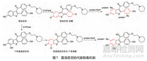 藥物反應(yīng)性代謝物的代謝途徑、致毒機制及其檢測方法研究進展