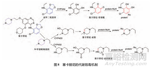 藥物反應(yīng)性代謝物的代謝途徑、致毒機制及其檢測方法研究進展