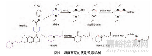 藥物反應(yīng)性代謝物的代謝途徑、致毒機制及其檢測方法研究進展