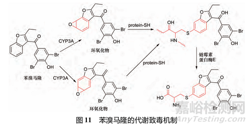 藥物反應(yīng)性代謝物的代謝途徑、致毒機制及其檢測方法研究進展