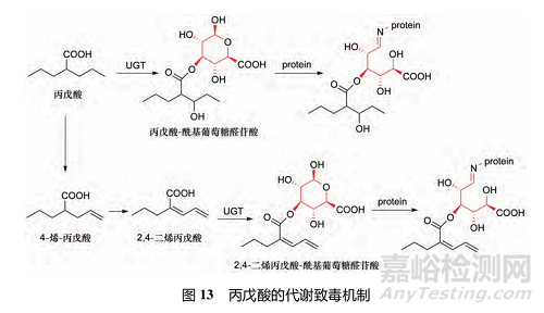 藥物反應(yīng)性代謝物的代謝途徑、致毒機制及其檢測方法研究進展