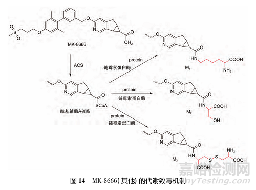 藥物反應(yīng)性代謝物的代謝途徑、致毒機制及其檢測方法研究進展