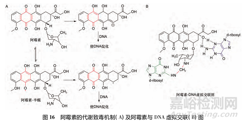 藥物反應(yīng)性代謝物的代謝途徑、致毒機制及其檢測方法研究進展