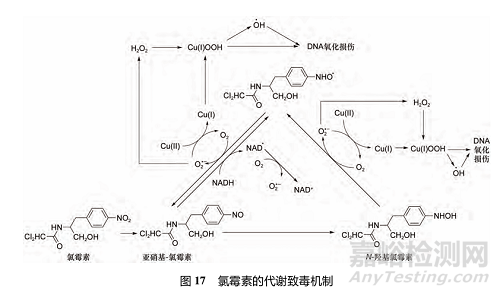 藥物反應(yīng)性代謝物的代謝途徑、致毒機制及其檢測方法研究進展