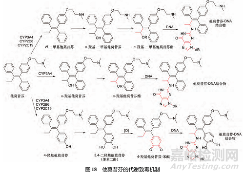 藥物反應(yīng)性代謝物的代謝途徑、致毒機制及其檢測方法研究進展