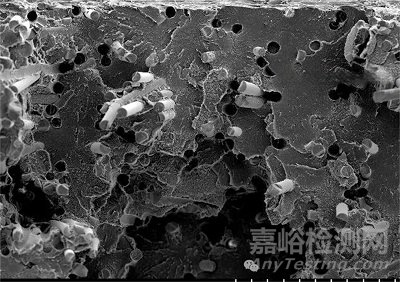 高分子材料開裂的三大引發(fā)類型及防開裂解決方案