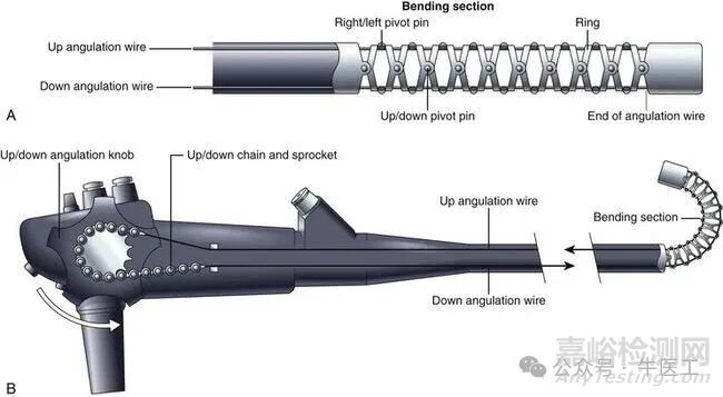 軟性內(nèi)窺鏡的工作原理及結(jié)構(gòu)圖
