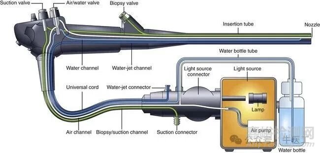 軟性內(nèi)窺鏡的工作原理及結(jié)構(gòu)圖