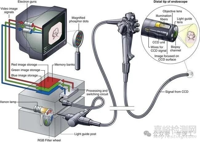 軟性內(nèi)窺鏡的工作原理及結(jié)構(gòu)圖