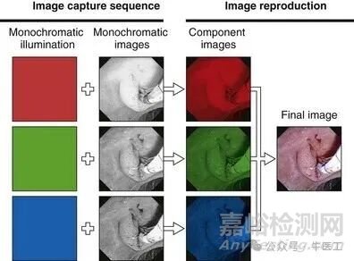 軟性內(nèi)窺鏡的工作原理及結(jié)構(gòu)圖