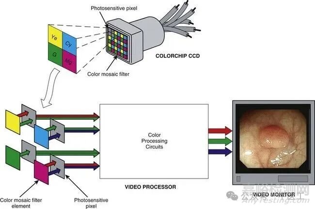 軟性內(nèi)窺鏡的工作原理及結(jié)構(gòu)圖