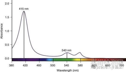 軟性內(nèi)窺鏡的工作原理及結(jié)構(gòu)圖