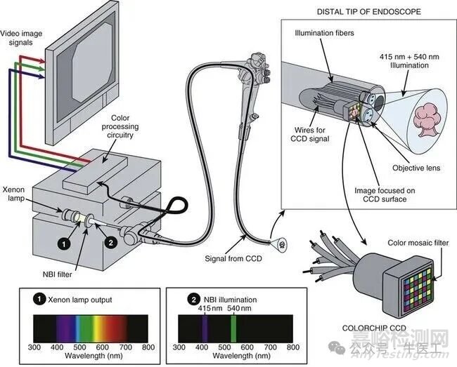 軟性內(nèi)窺鏡的工作原理及結(jié)構(gòu)圖