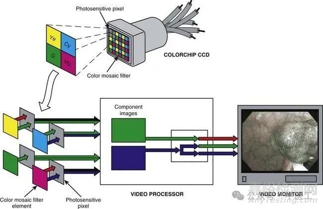 軟性內(nèi)窺鏡的工作原理及結(jié)構(gòu)圖