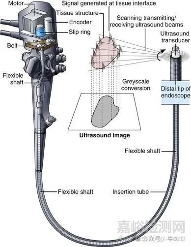 軟性內(nèi)窺鏡的工作原理及結(jié)構(gòu)圖