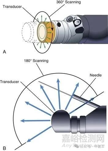 軟性內(nèi)窺鏡的工作原理及結(jié)構(gòu)圖