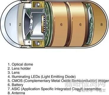 軟性內(nèi)窺鏡的工作原理及結(jié)構(gòu)圖