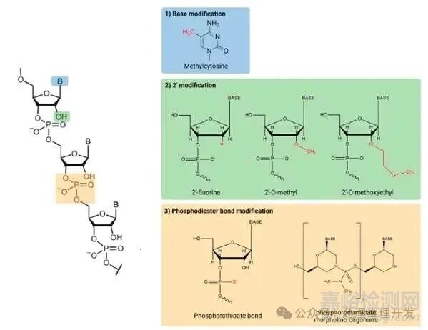 已上市RNA治療藥物的臨床藥代動(dòng)力學(xué)特點(diǎn)