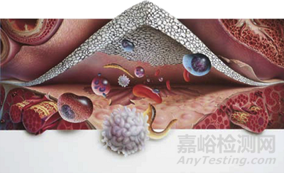 國產(chǎn)首款 ePTFE(膨體聚四氟乙烯)材質(zhì)心包膜補片獲批上市