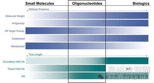 寡核苷酸類(lèi)藥物生殖毒性研究的特殊考量