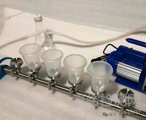 2025中國(guó)藥典微生物限度檢查法及中美藥典差異比較