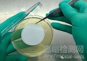 2025中國(guó)藥典微生物限度檢查法及中美藥典差異比較