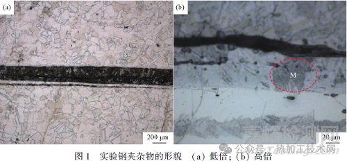 核電用奧氏體不銹鋼電渣重熔夾雜物形貌特征