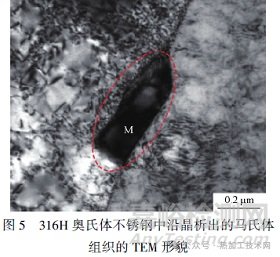 核電用奧氏體不銹鋼電渣重熔夾雜物形貌特征
