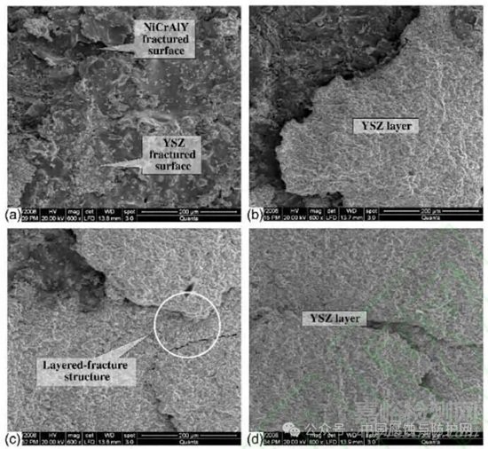 熱障涂層的無損檢測(cè)技術(shù)與性能檢測(cè)評(píng)價(jià)方法研究進(jìn)展