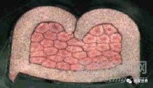 端子壓接質(zhì)量檢測(cè)方法