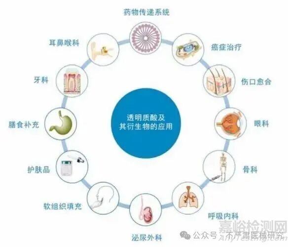 透明質(zhì)酸的特性、制備方法與工藝流程