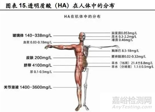 透明質(zhì)酸的特性、制備方法與工藝流程