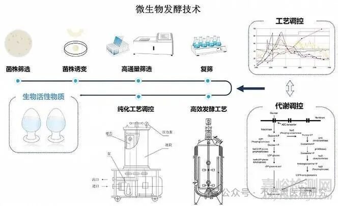 透明質(zhì)酸的特性、制備方法與工藝流程