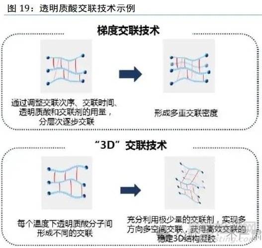 透明質(zhì)酸的特性、制備方法與工藝流程